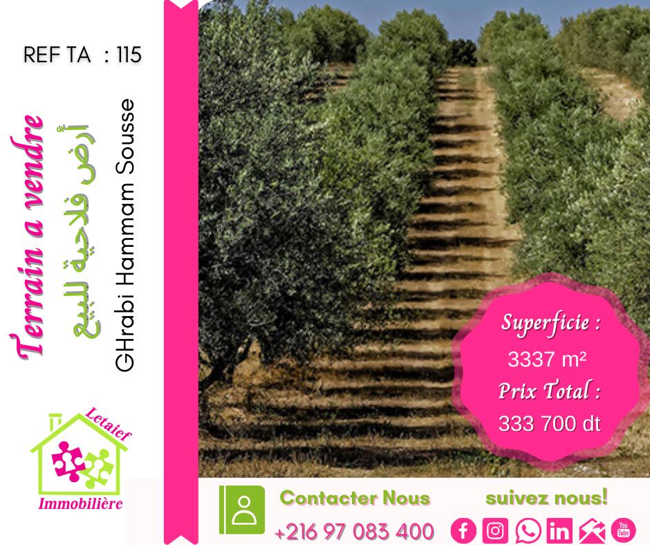 deal tunisie annonce