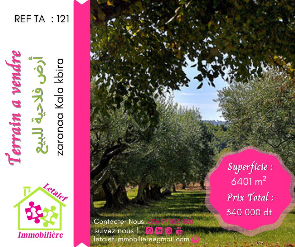 deal tunisie annonce