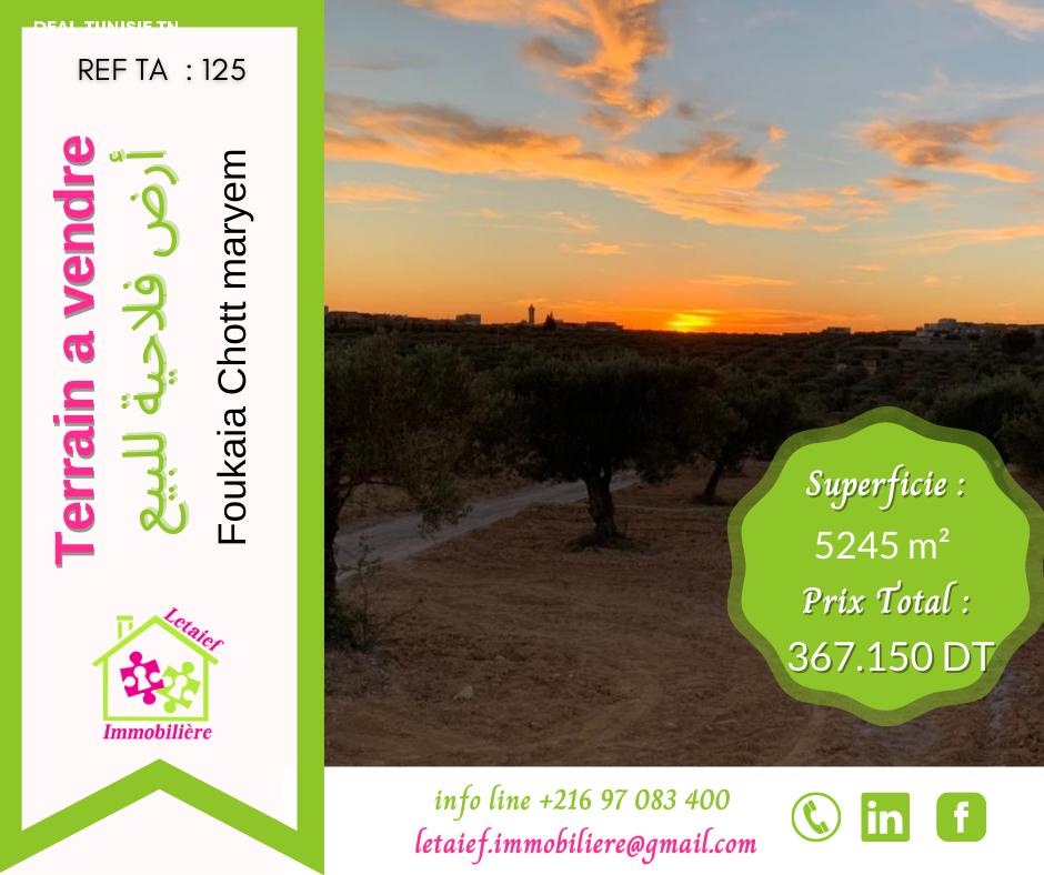 deal tunisie annonce