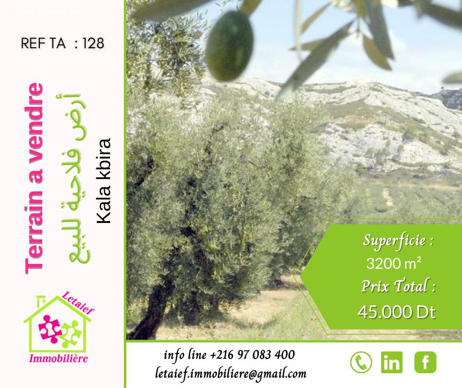 deal tunisie annonce