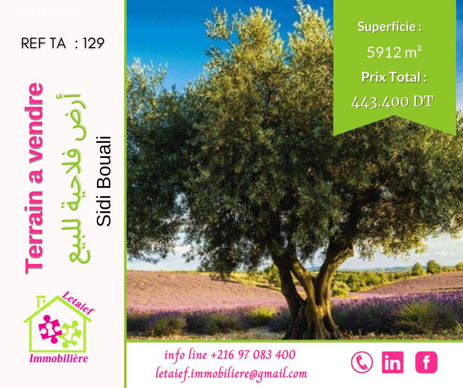 deal tunisie annonce