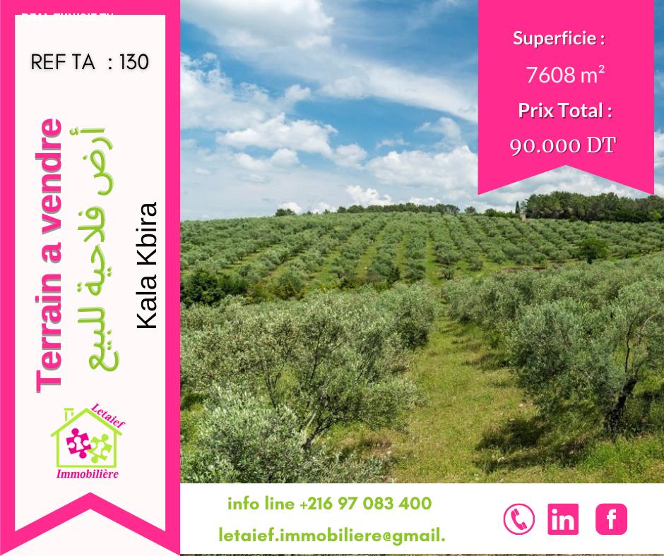 deal tunisie annonce
