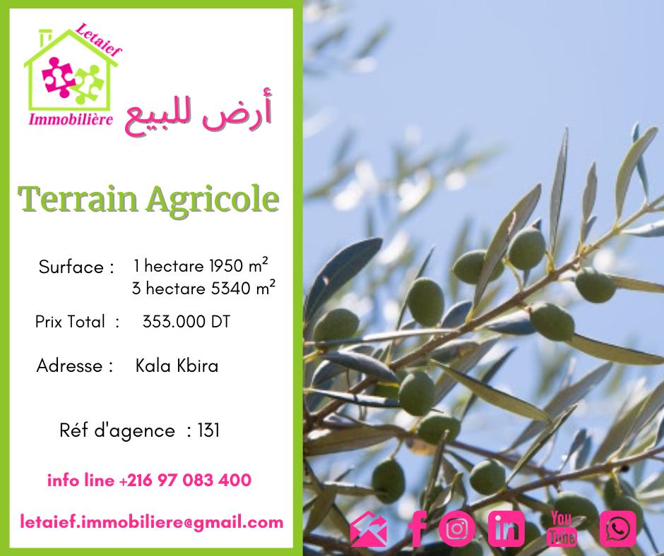 deal tunisie annonce