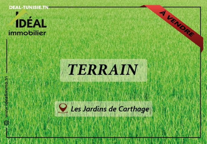 deal tunisie annonce