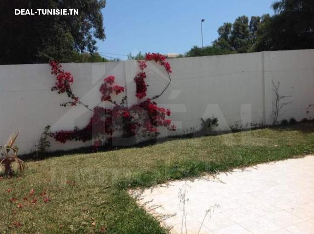 Image Annonce Deal-tunisie