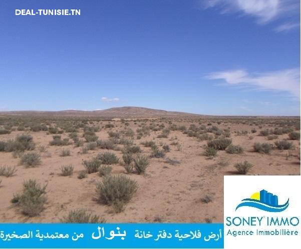 deal tunisie annonce