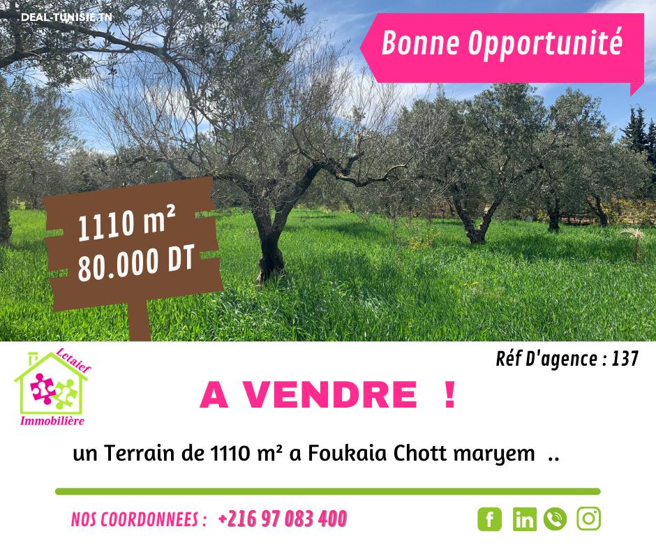 deal tunisie annonce
