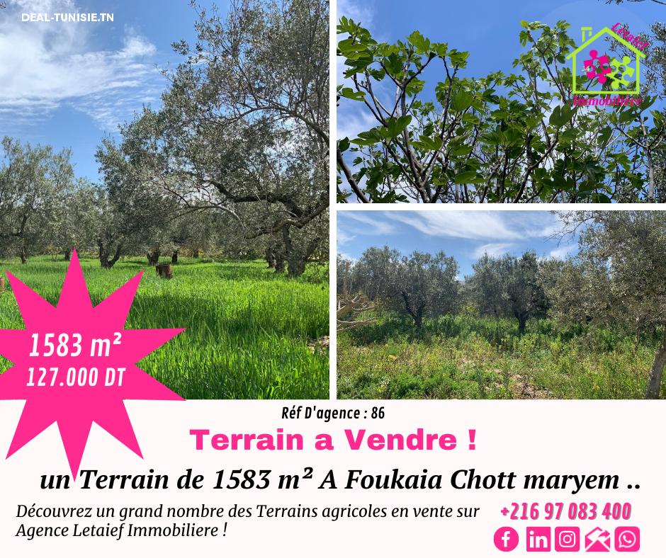 deal tunisie annonce