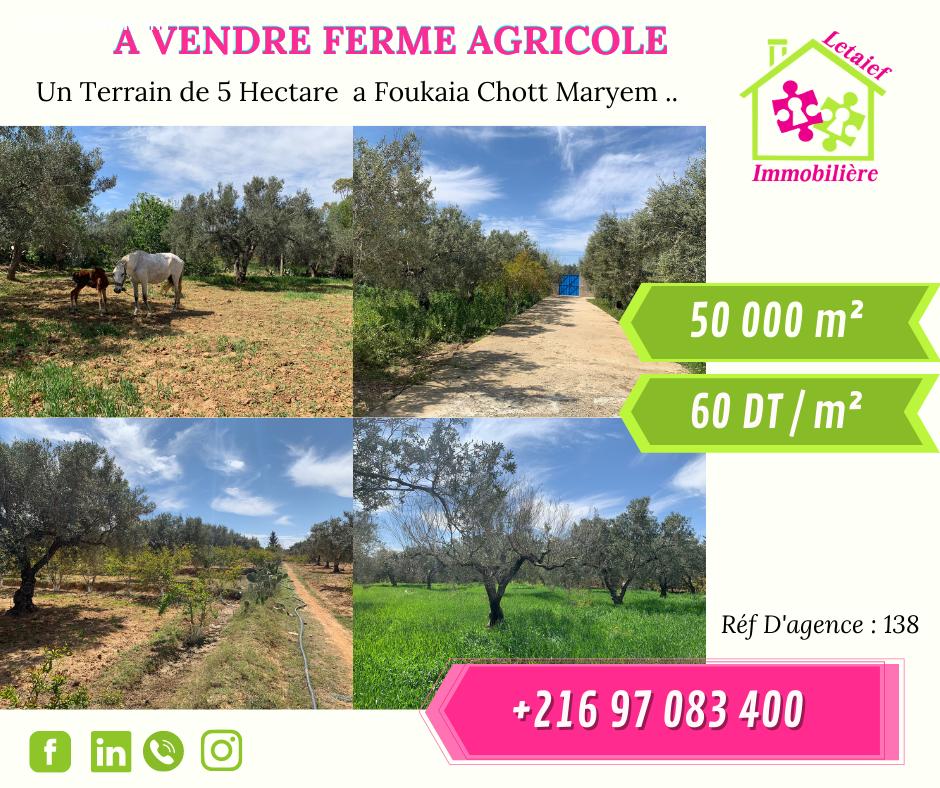 deal tunisie annonce