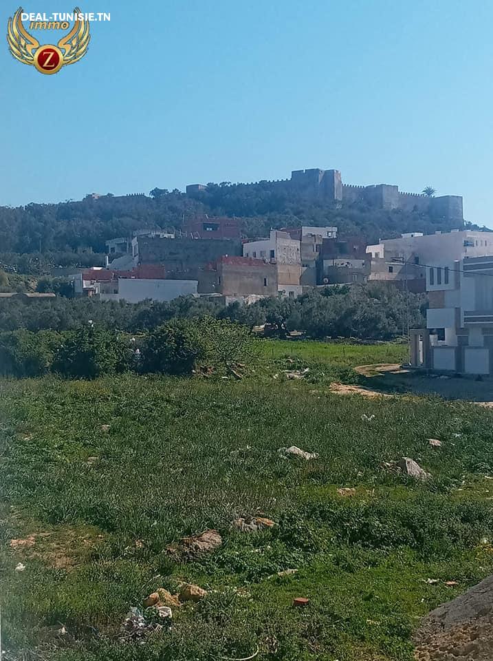 Image Annonce Deal-tunisie