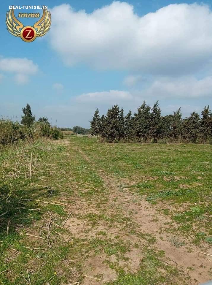 Image Annonce Deal-tunisie