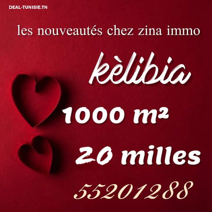 deal tunisie annonce