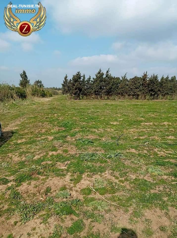 Image Annonce Deal-tunisie