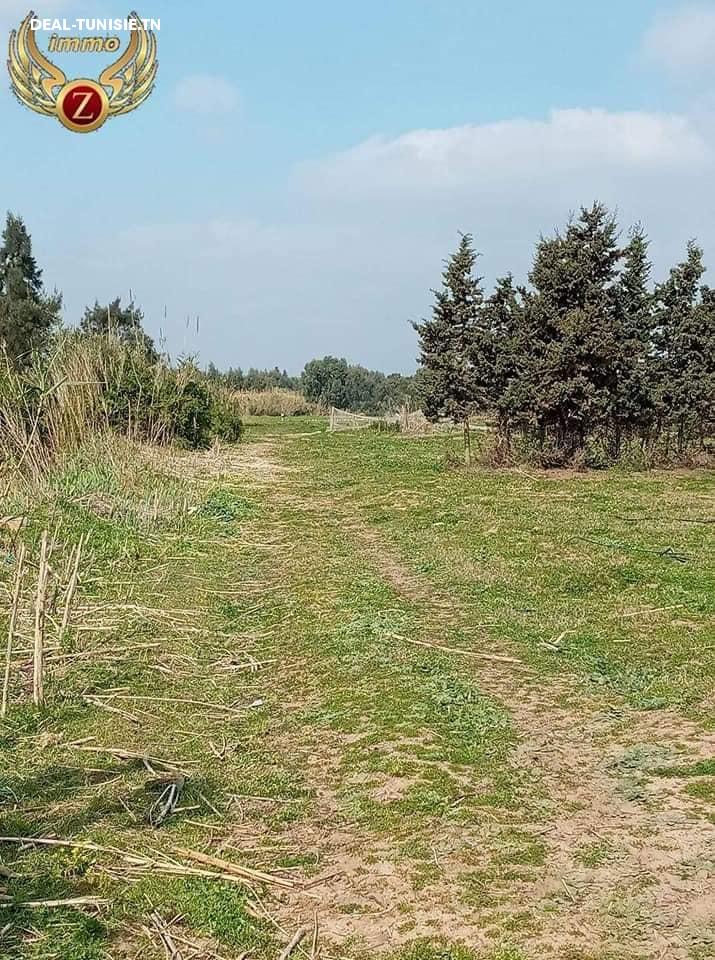 Image Annonce Deal-tunisie