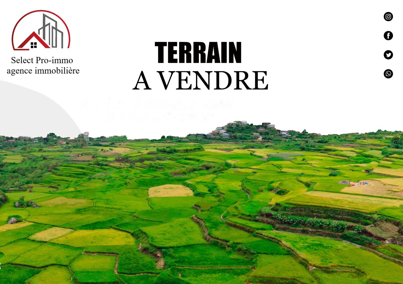 deal tunisie annonce
