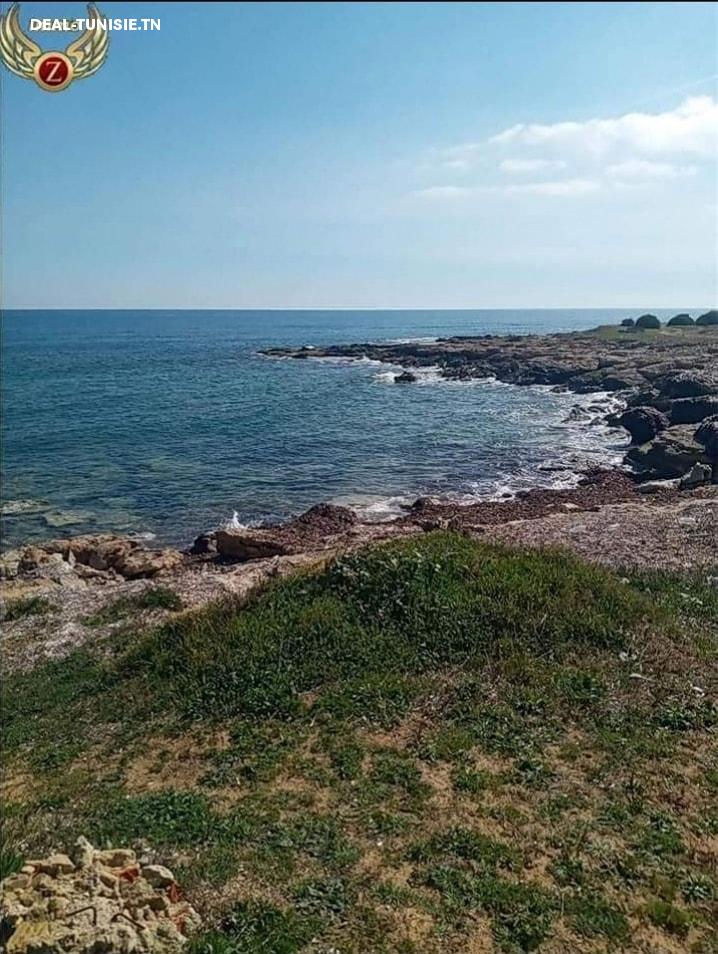 Image Annonce Deal-tunisie