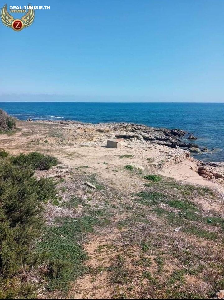 Image Annonce Deal-tunisie