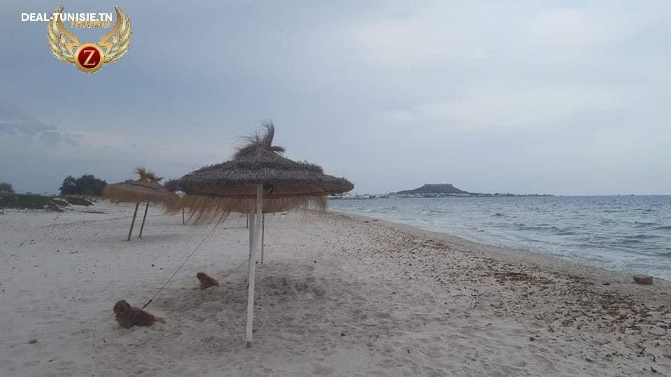 Image Annonce Deal-tunisie