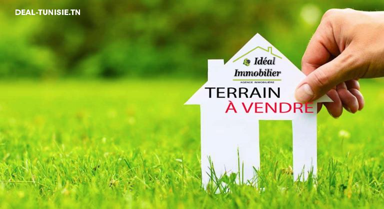 deal tunisie annonce
