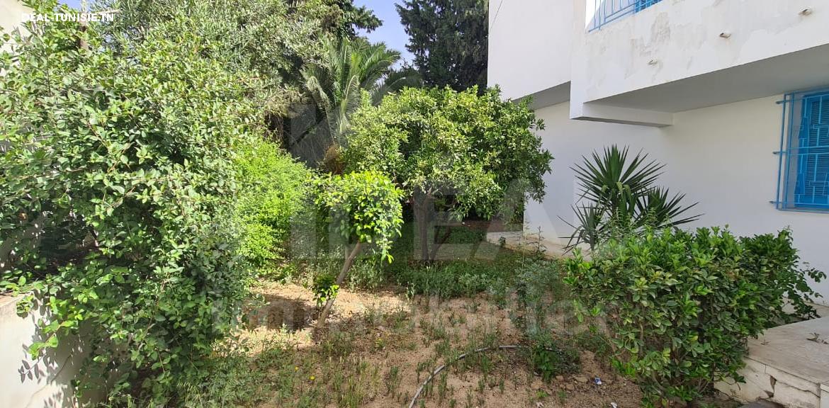 Image Annonce Deal-tunisie