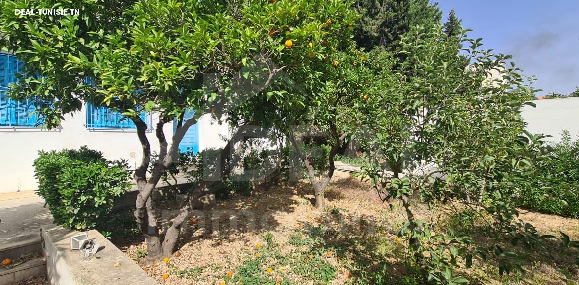 Image Annonce Deal-tunisie