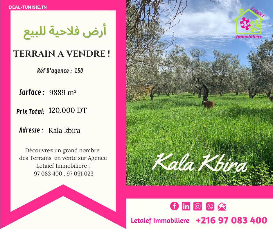 deal tunisie annonce