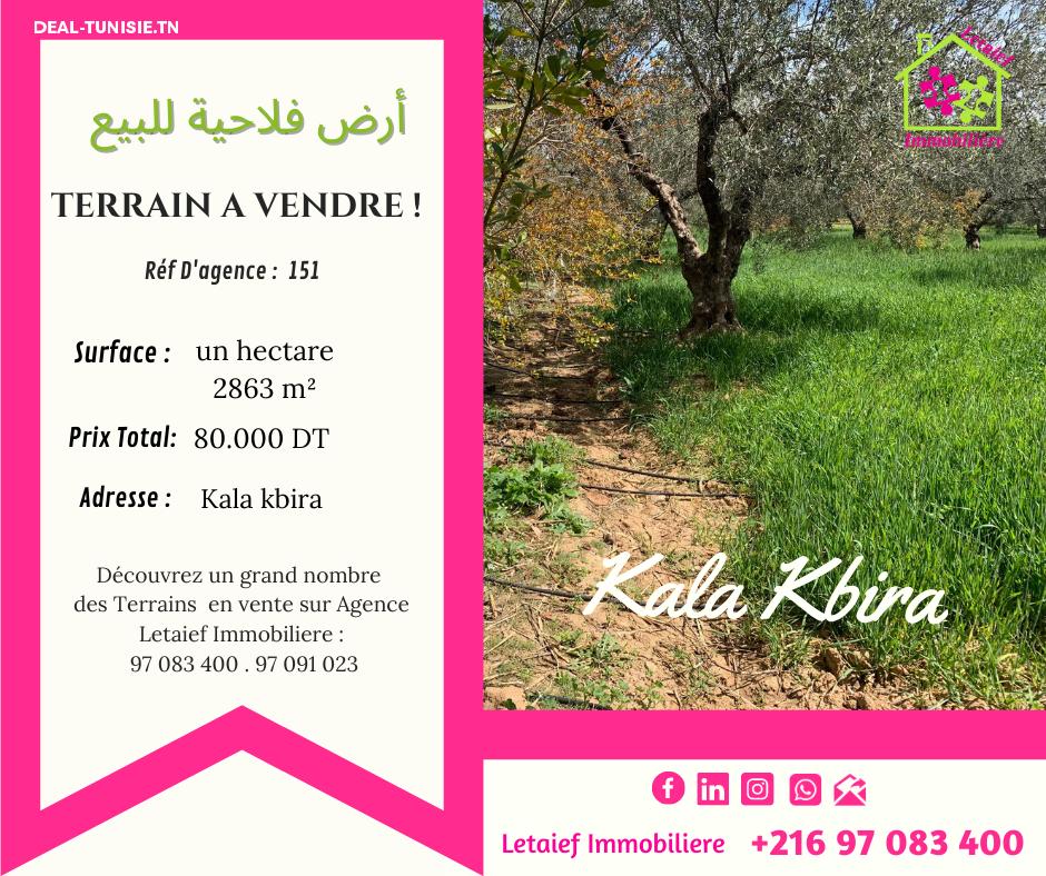 deal tunisie annonce