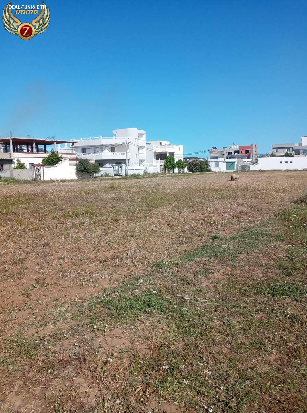 Image Annonce Deal-tunisie