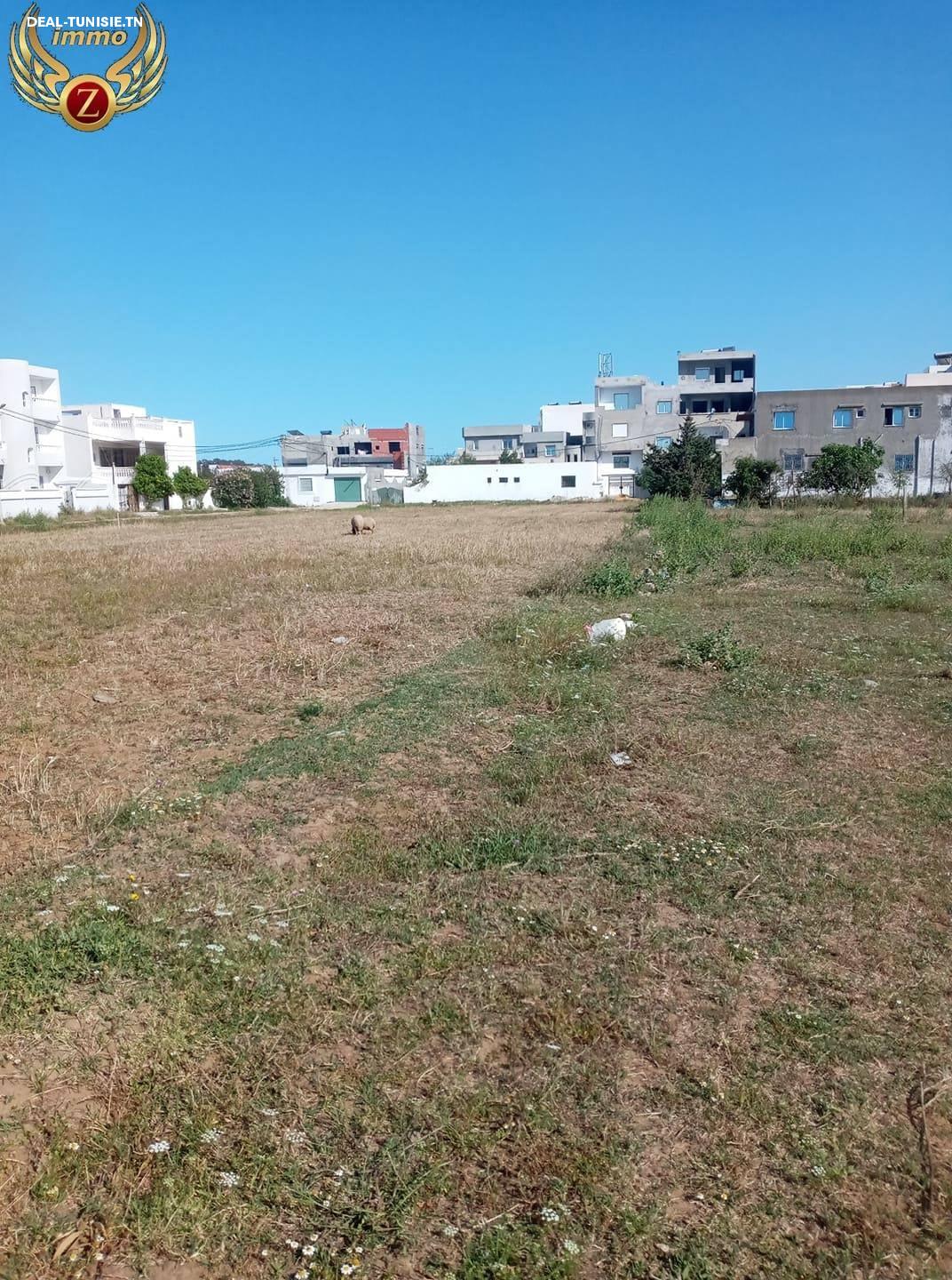 Image Annonce Deal-tunisie