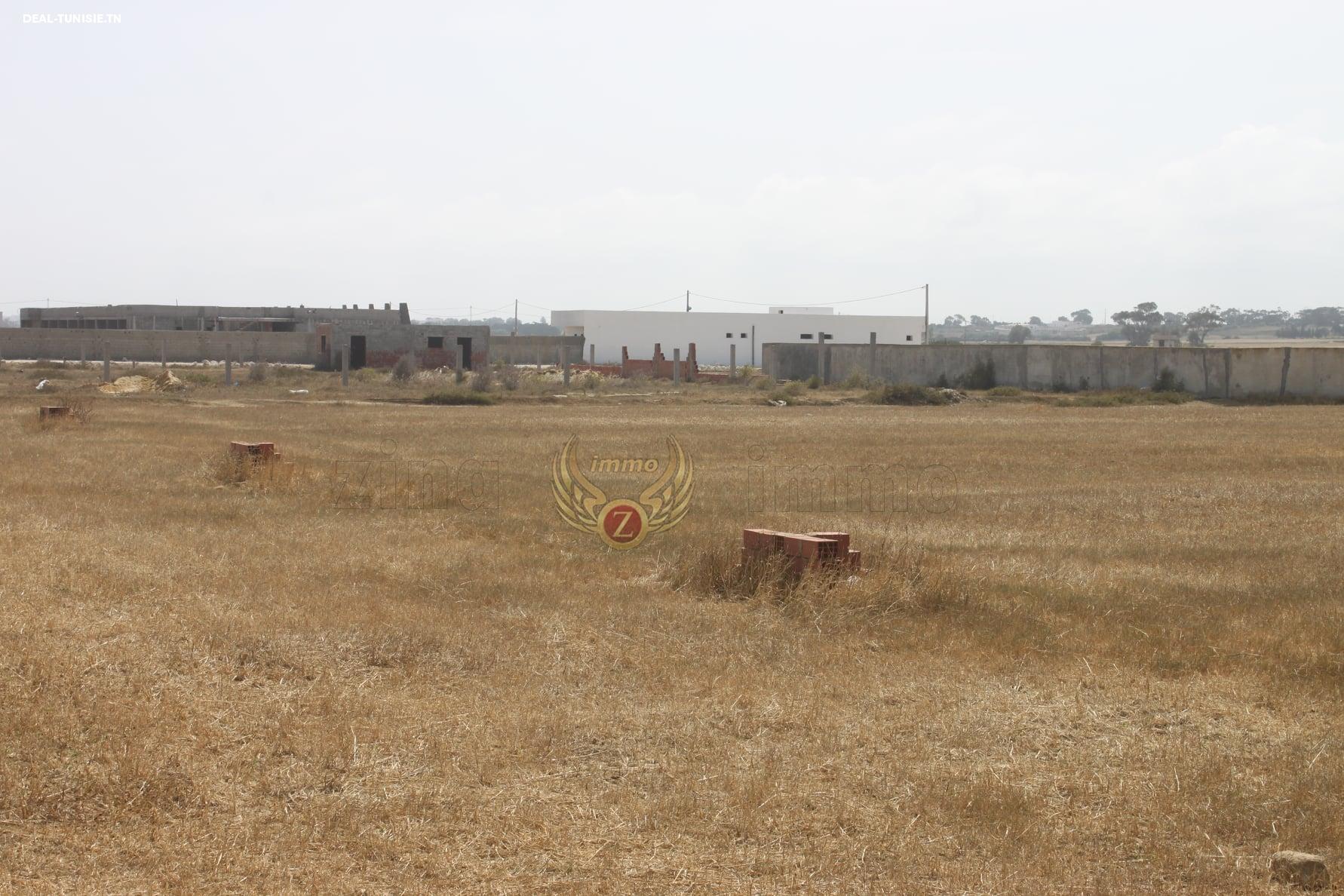 Image Annonce Deal-tunisie