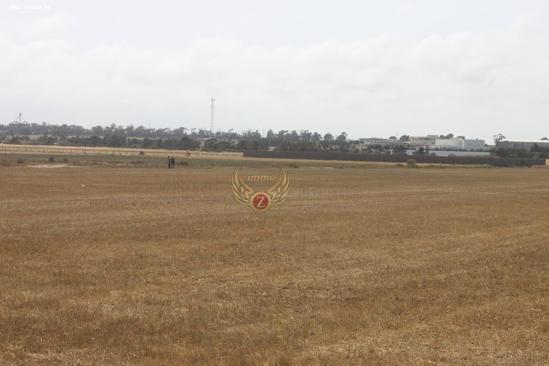 Image Annonce Deal-tunisie