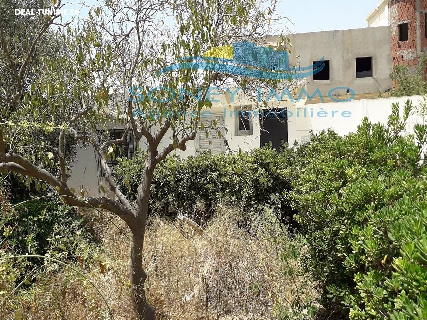 Image Annonce Deal-tunisie
