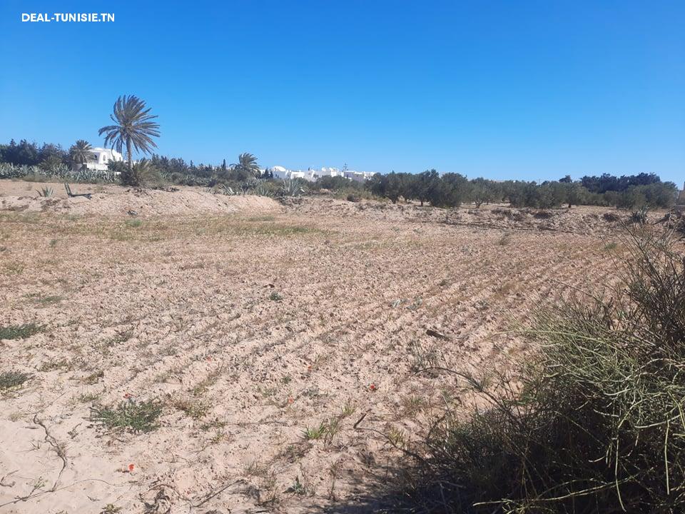 Image Annonce Deal-tunisie