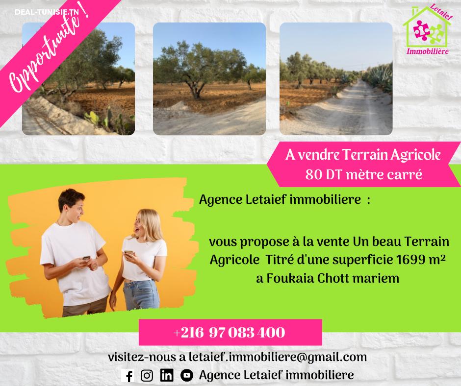deal tunisie annonce