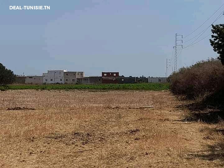 Image Annonce Deal-tunisie
