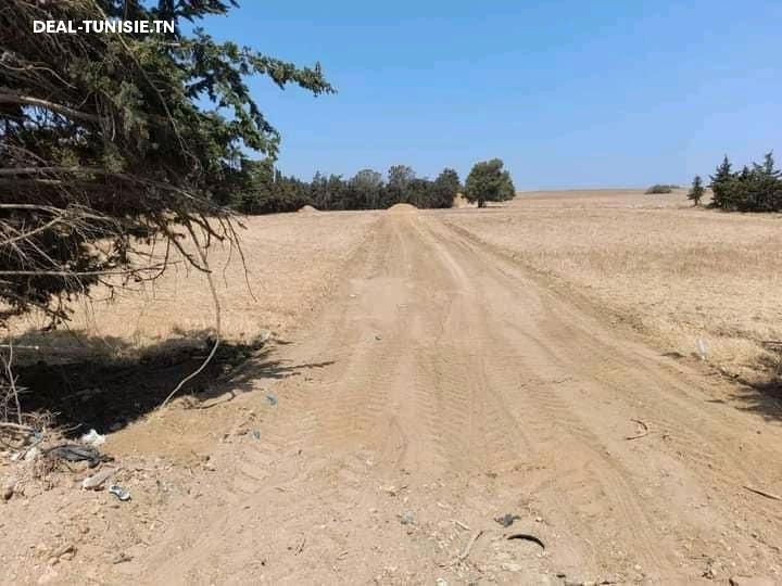 Image Annonce Deal-tunisie