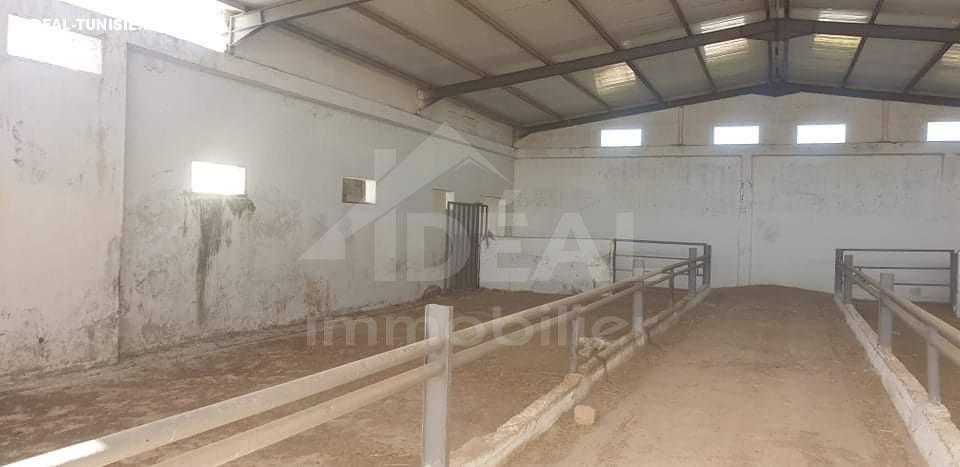 Image Annonce Deal-tunisie