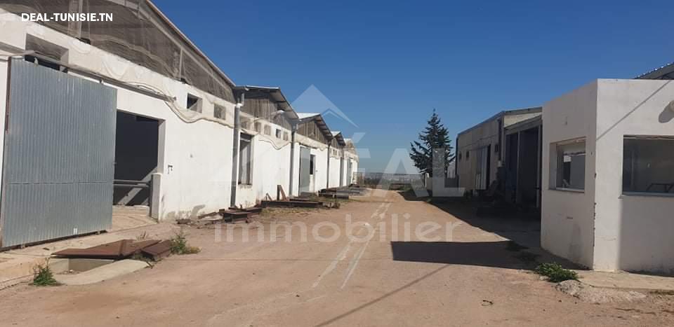 Image Annonce Deal-tunisie