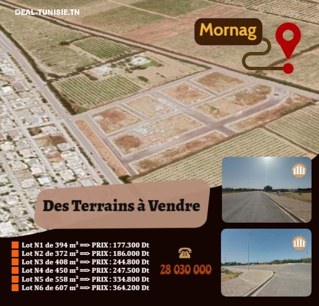 deal tunisie annonce