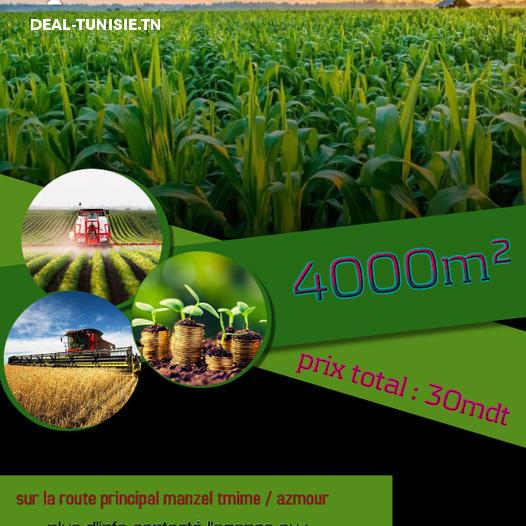 deal tunisie annonce
