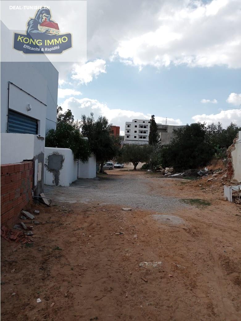 Image Annonce Deal-tunisie