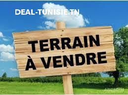 deal tunisie annonce