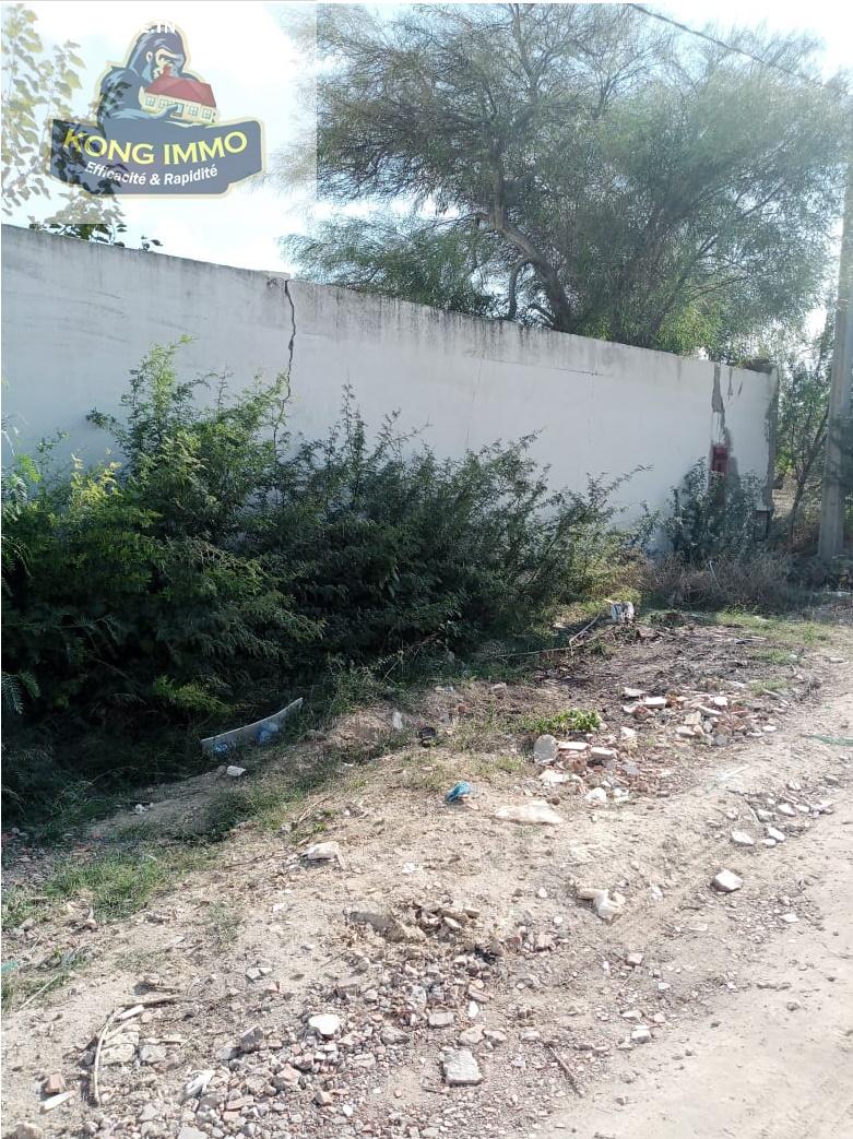 Image Annonce Deal-tunisie