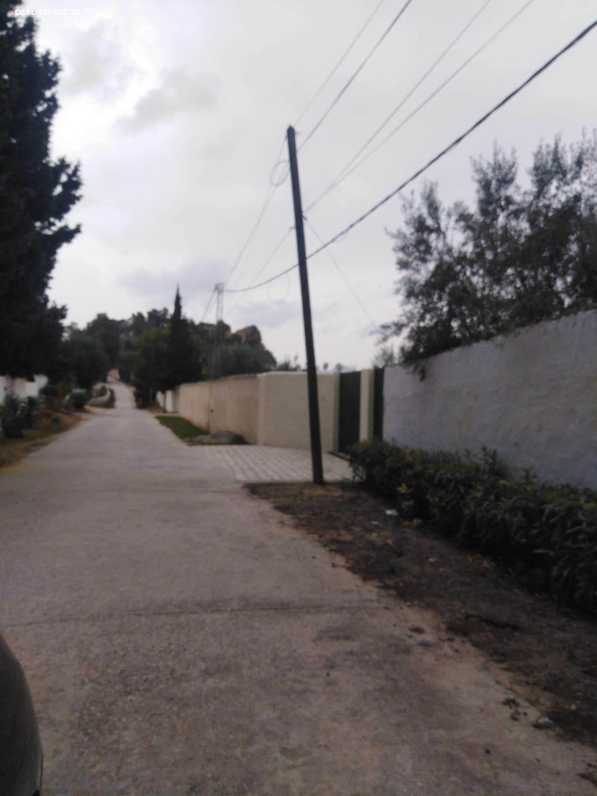 Image Annonce Deal-tunisie