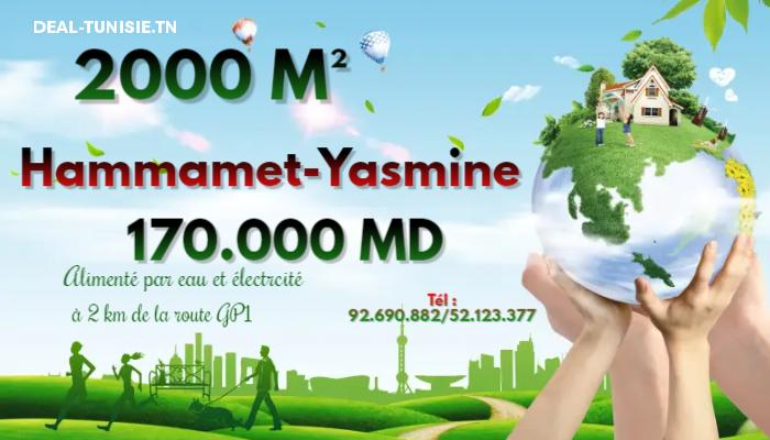 deal tunisie annonce