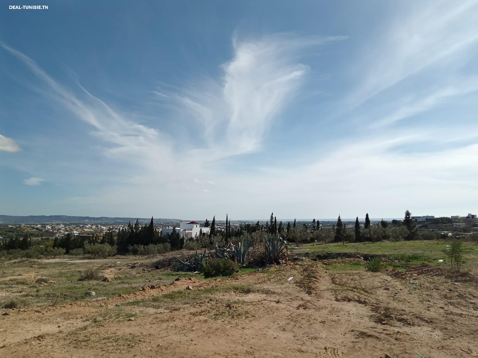 Image Annonce Deal-tunisie