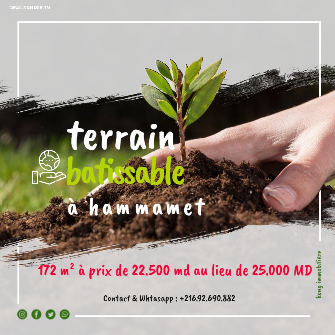deal tunisie annonce