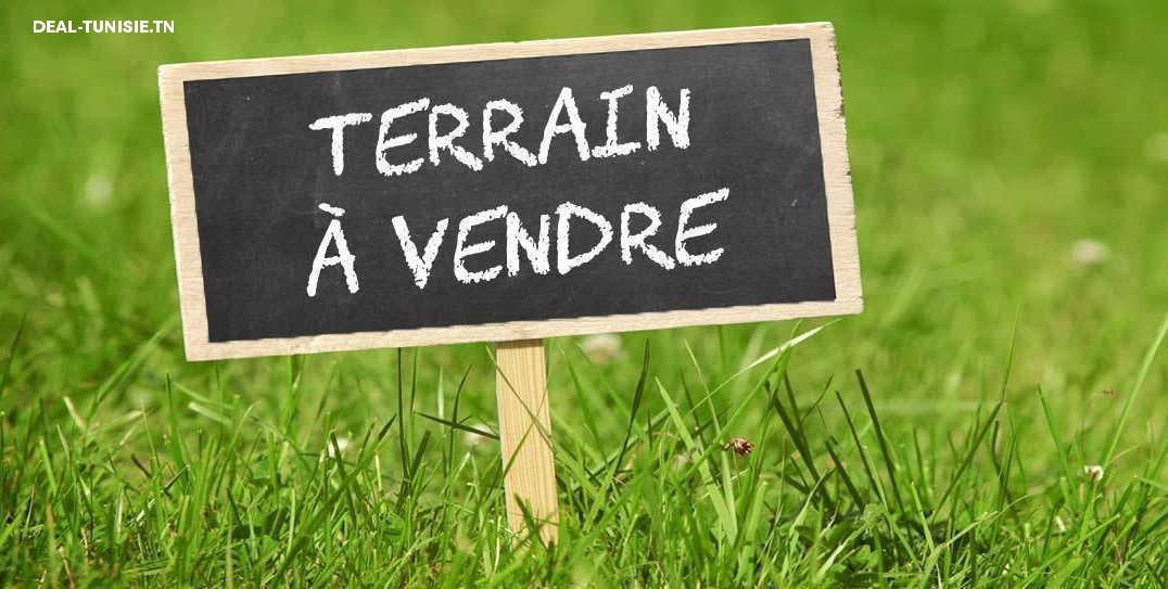 deal tunisie annonce