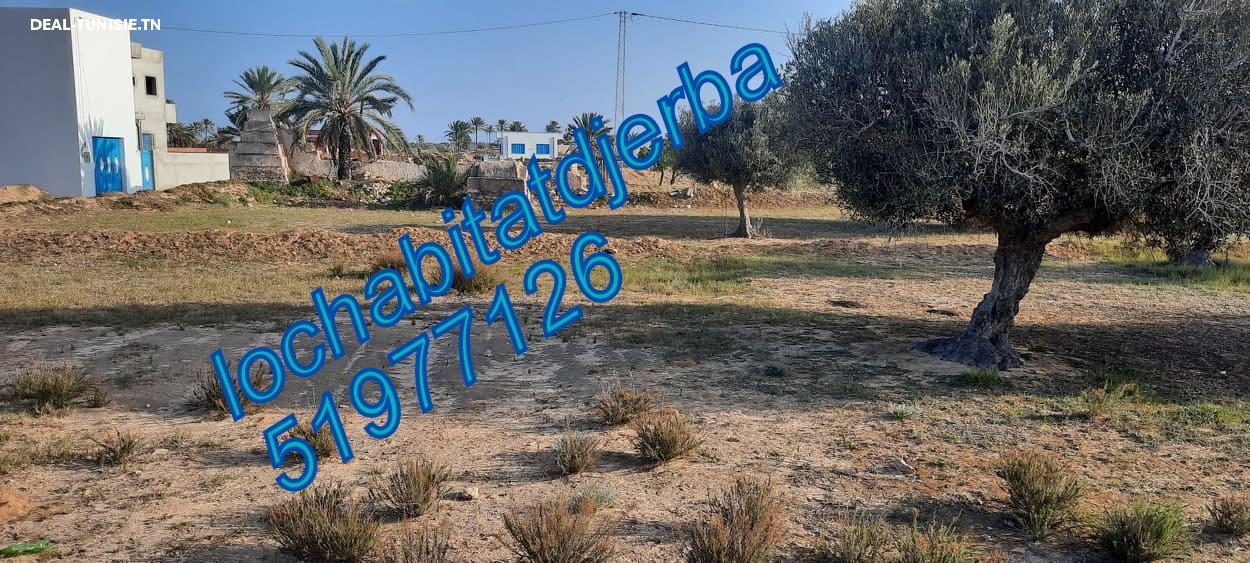 deal tunisie annonce