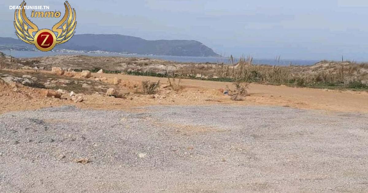 Image Annonce Deal-tunisie